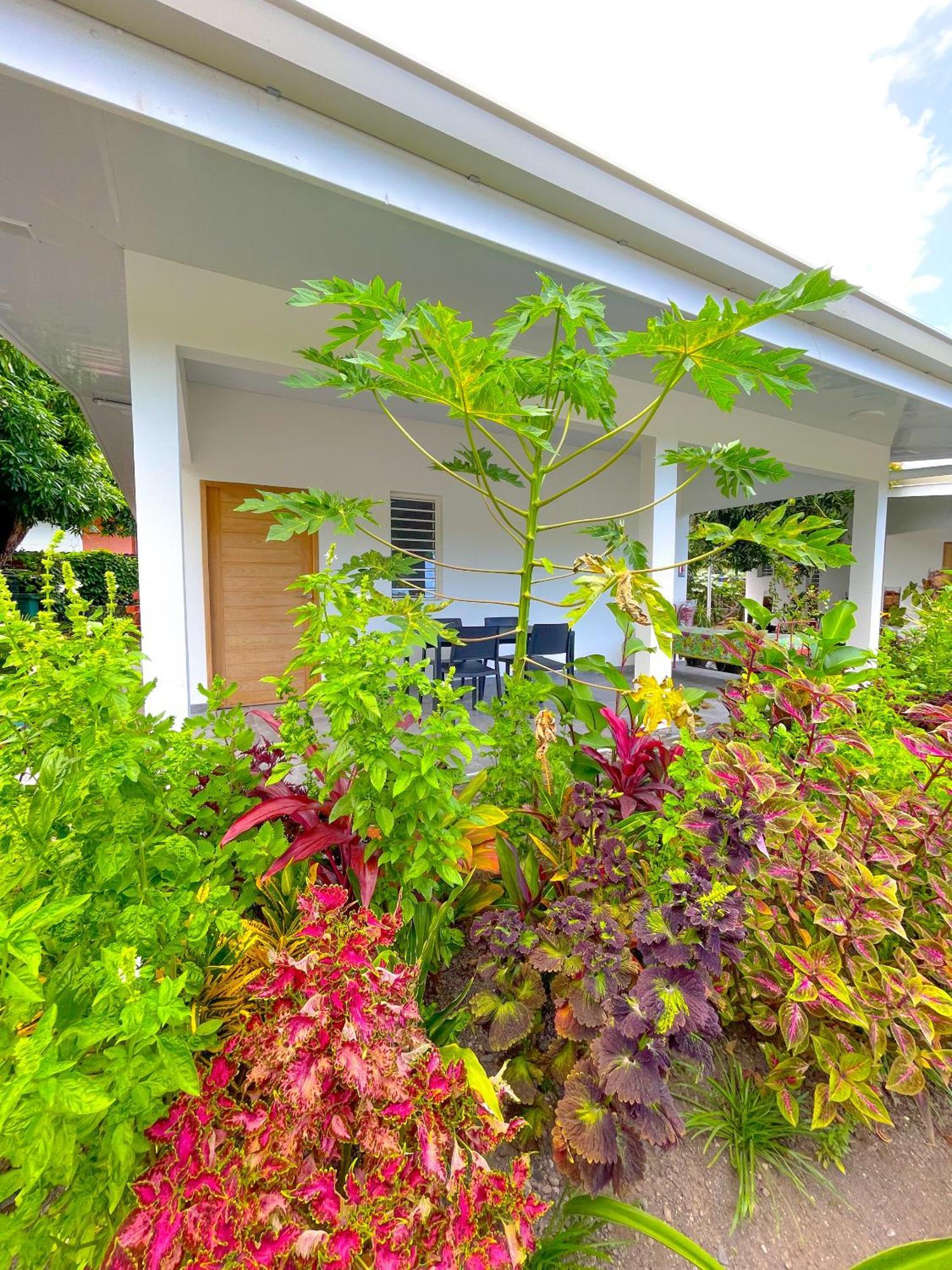 Pirae Pare Lodge Tahiti מראה חיצוני תמונה