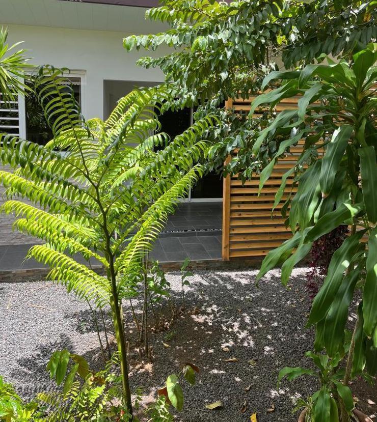 Pirae Pare Lodge Tahiti מראה חיצוני תמונה