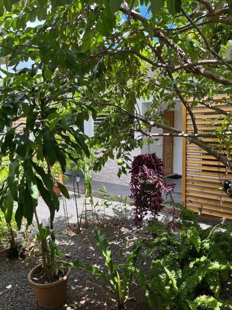 Pirae Pare Lodge Tahiti מראה חיצוני תמונה